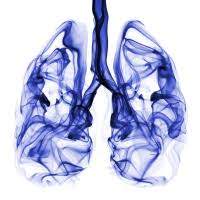 polarean gas shown in lungs